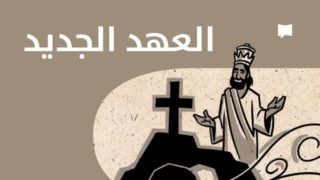 The bible project arabic bible videos